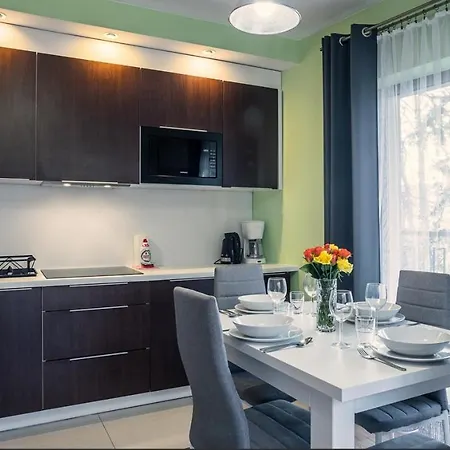 Srodkowa Widok Na Gory 1 Pietro Garaz Gratis Schreiberhau