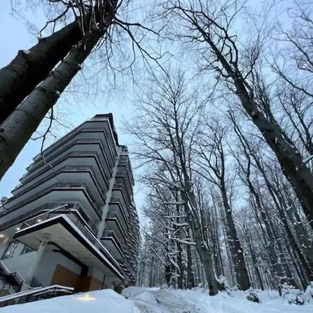 Апартаменты Srodkowa Widok Na Gory 1 Pietro Garaz Gratis Шклярска-Поремба